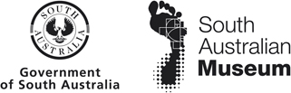 Logo of the South Australian Museum